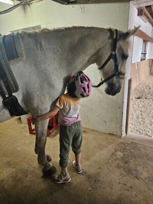 N. Kuschelt Mit Therapiepferd