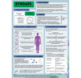 Medizinstudentin gestaltet Poster zum SYNGAP1-Syndrom im innovativen Pilotkurs
