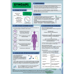Medizinstudentin gestaltet Poster zum SYNGAP1-Syndrom im innovativen Pilotkurs